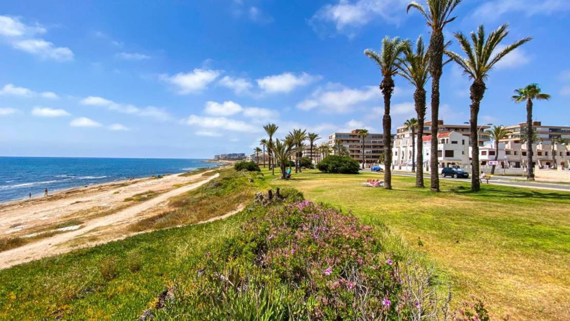 Apartamento Villa Amalia Torrevieja Buitenkant foto
