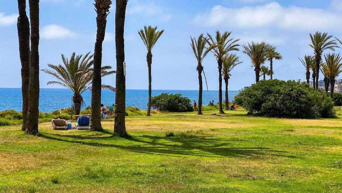 Apartamento Villa Amalia Torrevieja Buitenkant foto