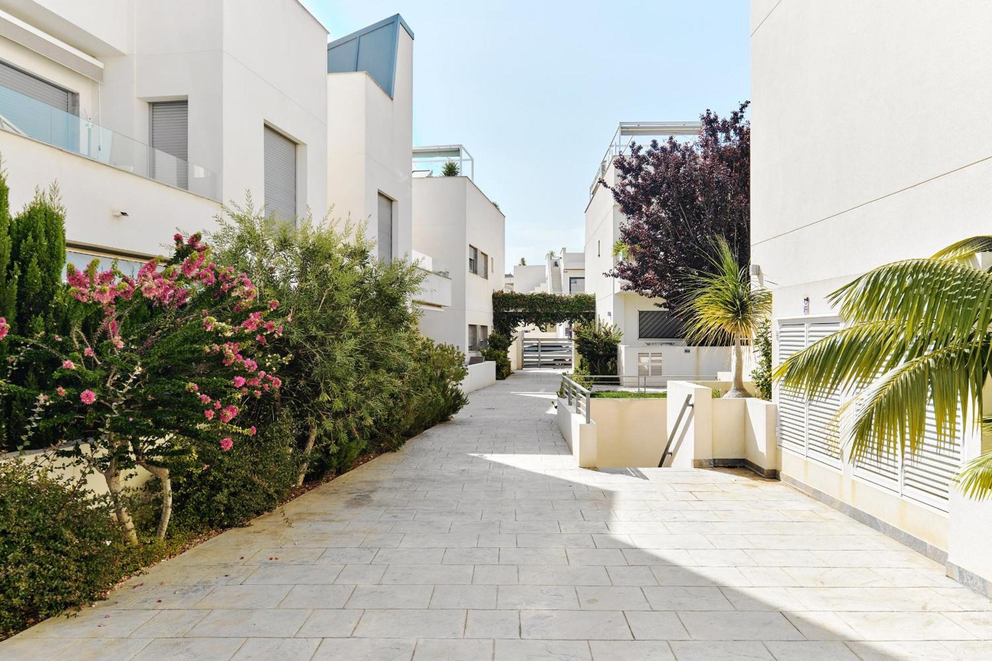 Apartamento Villa Amalia Torrevieja Buitenkant foto