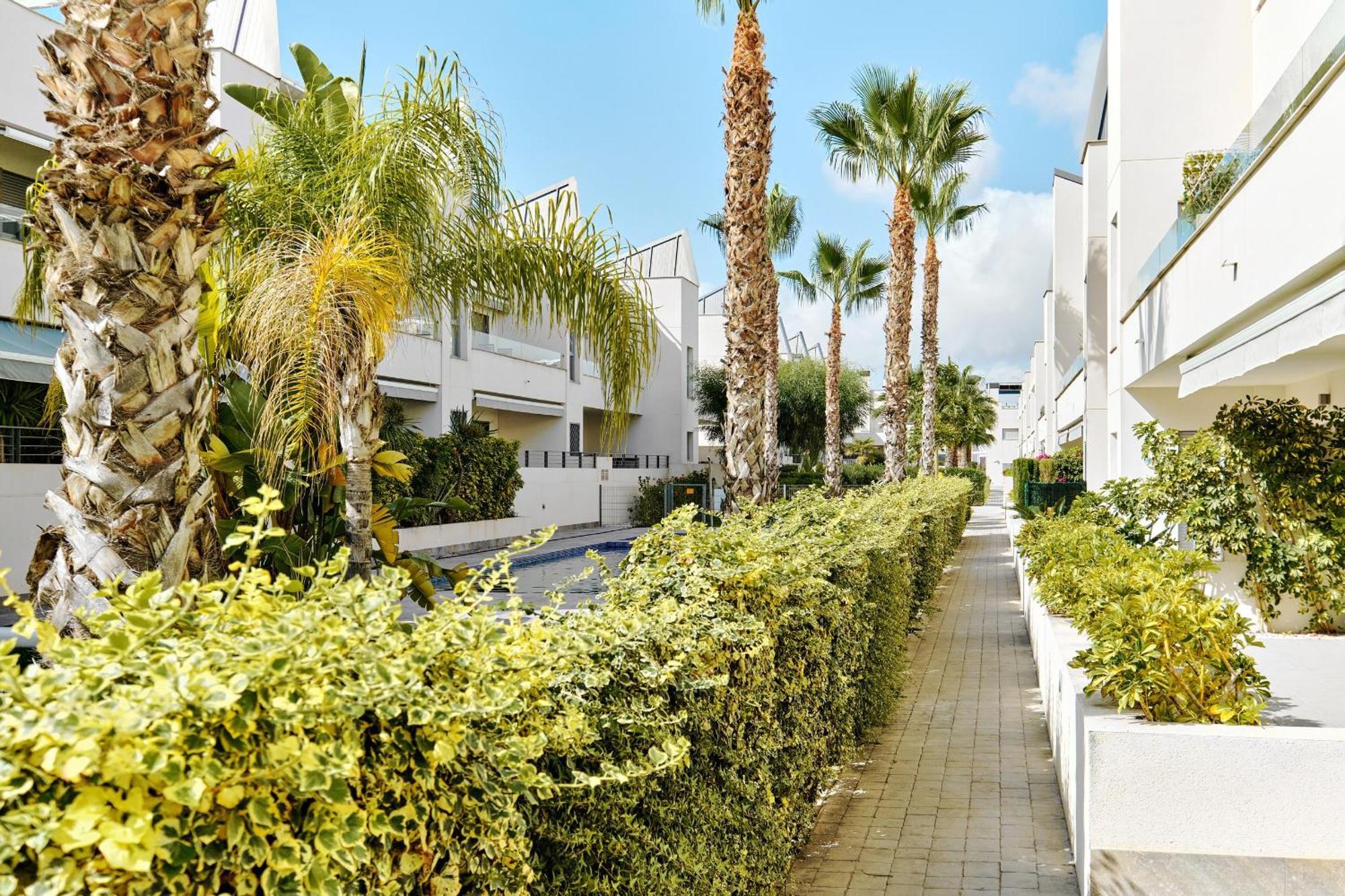 Apartamento Villa Amalia Torrevieja Buitenkant foto